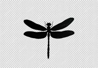 Minimalist Black Dragonfly Silhouette for Nature Inspired Graphic Design Projects image
