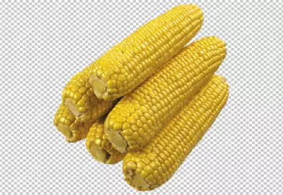 Close-up view of cooked and uncooked corns