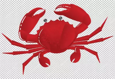 Crab with extended claws isolated on transparent background PNG