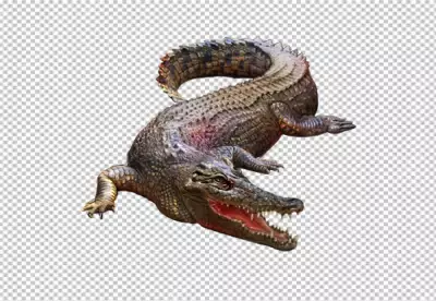 Aggressive Crocodile with an open mouth