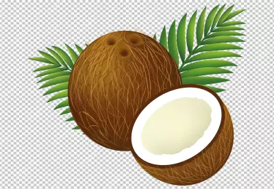 PNG Realistic coconut background