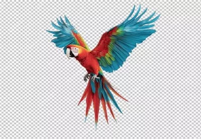 Vibrant Scarlet Macaw Flying with Graceful Spread Wings for Design Projects image
