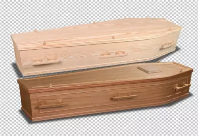 Black Coffin with Skeleton Hands Isolated png 