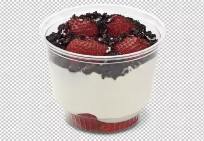 Yogurt is a tangy smooth dairy product made from fermented milk