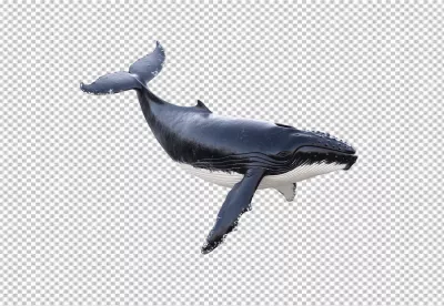 Majestic Humpback Whale Swimming Gracefully in the Ocean for Marine Designs image