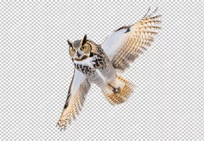 Majestic Great Horned Owl in Graceful Flight PNG Image image