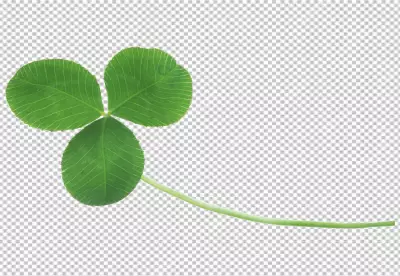 Pattern with shamrocks Clover