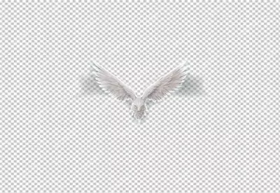 Majestic White Avian Icon with Broad Wings Soaring Symbolically image