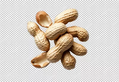 Delicious Peanuts in Shell with Kernel Showing: Healthy Snack PNG Cutout image