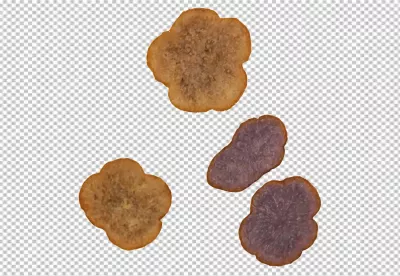 Freshly Sliced Taro Root Pieces with Purple and Beige Hues Isolated image