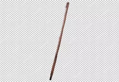 Branching walking stick branch twig