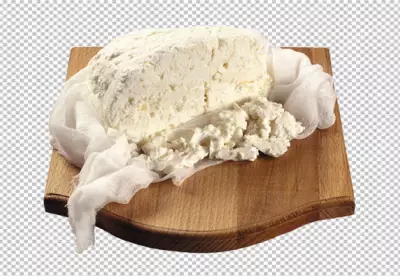Cheese appetizer PNG