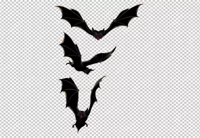Fly bat spooky halloween silhouette black symbol vampire horror
