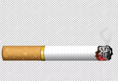 Closeup broken cigarette on png background