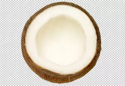 Close-up view of coconut  PNG