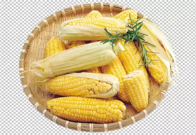 A solitary baby corn isolated on transparent PNG