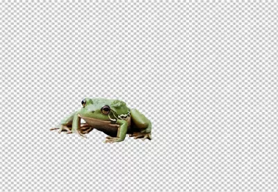 Vibrant Green Frog with Striking Golden Eyes on Transparent Background image