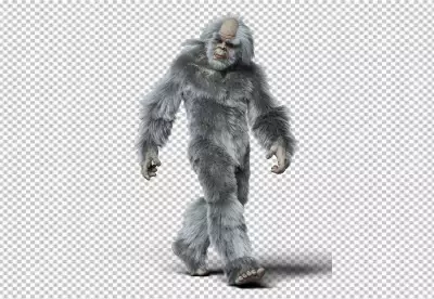 Yeti Working Alon