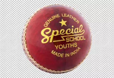 Cricket ball isolated PNG