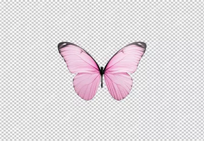Beautiful Pink Butterfly with Delicate Wings - High-Quality PNG Cutout for Design image