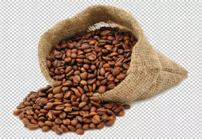 PNG A bunch of coffee beans are on a checkered background