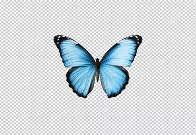 Stunning Blue Butterfly PNG Cutout with Open Wings for Creative Designs image