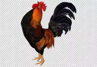 Rooster in photorealistic style with beak