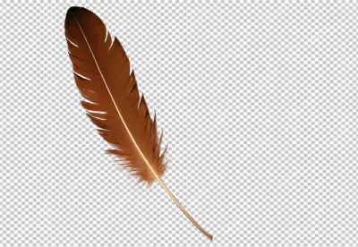 Elegant Brown Bird Feather with Golden Quill on Transparent Background image