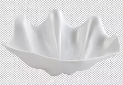 PNG white color conch 