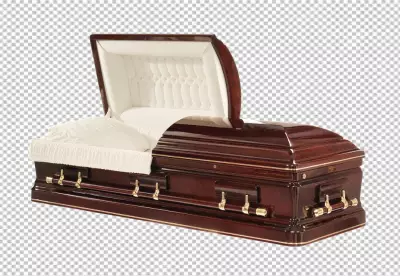 Black Coffin with Skeleton Hands Isolated on transparent background 