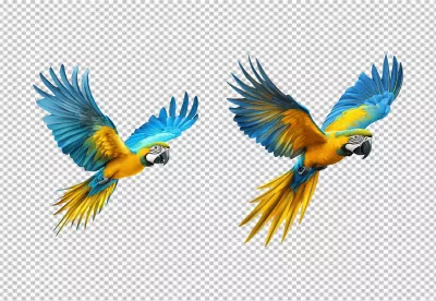 Colorful Tropical Parrot Duo in Flight Dynamic PNG Image image