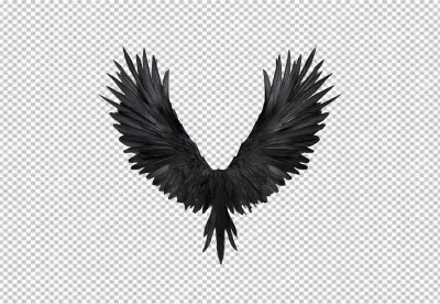 Elegant Black Feathered Wings Spread Wide for Majestic Fantasy Designs image