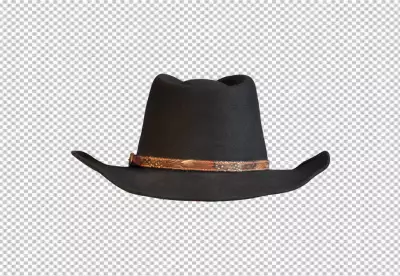Magnificent homburg hat isolated