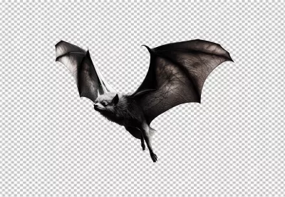 Dynamic Flying Bat PNG Cutout for Spooky Halloween Designs image