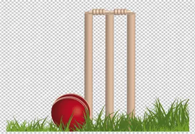 Cricket ground on transparent background 
