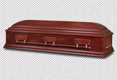 Black Coffin with Skeleton Hands Isolated on transparent  Background