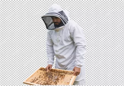 Professional Beekeeper Inspecting Honeycomb Frame with Active Bees in White Suit image