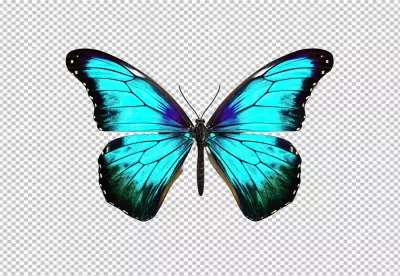 Vibrant Blue Morpho Butterfly PNG Cutout for Creative Designs image