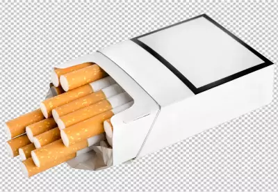Smoking 3d rendering material on transparent