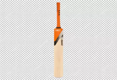 Cricket bat png