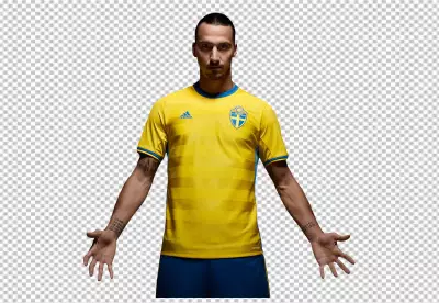Zlatan Ibrahimović is a striker for Serie A club Milan and the Sweden national team