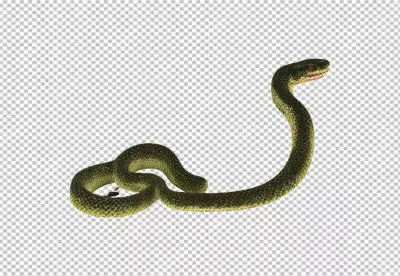 Realistic Green Snake with Open Mouth, Coiled Body, and Striking Red Eyes image