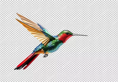 Vibrant Hummingbird in Flight Elegant Tropical Bird PNG Cutout image