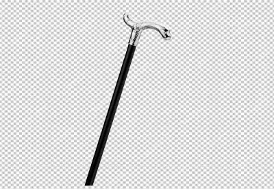 Sterling silver Assistive cane Walking stick Ebony