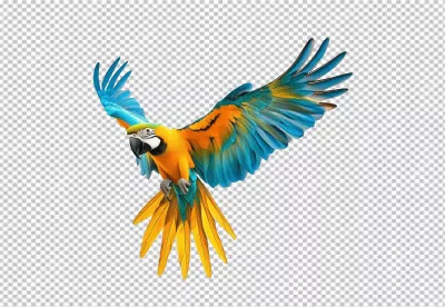 Vibrant Blue and Gold Macaw Parrot in Dynamic Flight for Creative Designs image