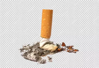 Closeup broken cigarette on transparent background