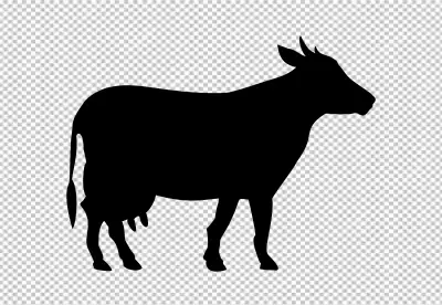 stand up cow silhouette transparent background PNG