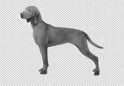 Sleek Pointer Breed Dog Standing in Elegant Profile Pose image