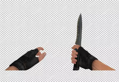 Fighter transparent background PNG