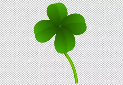 collection of four leaf clovers with green leaves